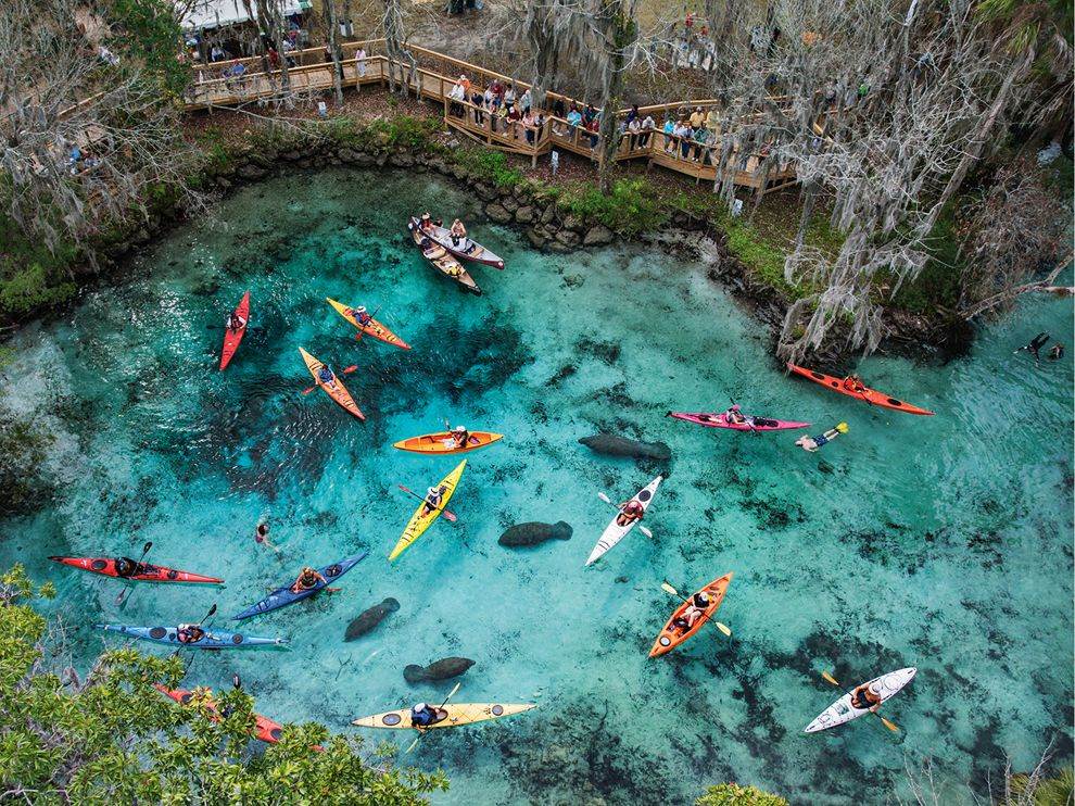 kayaks-manatees-three-sisters-springs-florida.jpg