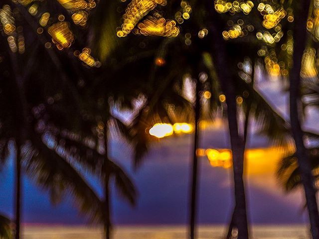 #ocean #sunset #travelphotography #photoblogger #beautifulcolours #travelaroundtheworld #daretotravel #carpediem #szilviaschafferphotography  http://elj-utazz-fotozz.blog.hu/2018/03/18/mauritius_heaven_on_earth_part