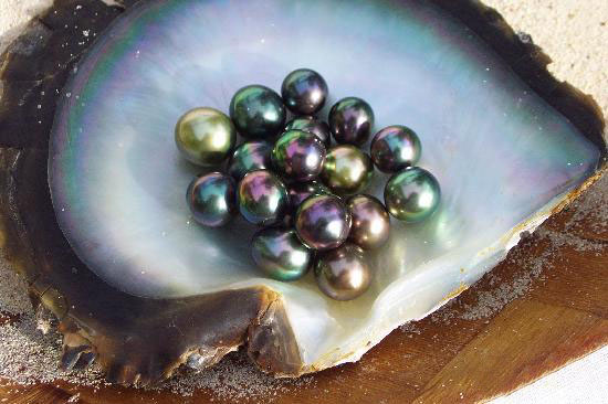 tahitian-pearls-from.jpg