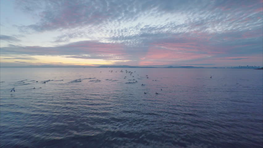 Lawrence Ferlinghetti: Csendes a tenger ma este (The Sea is Calm Tonight)