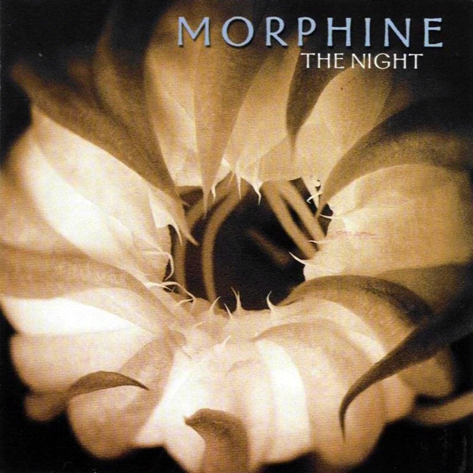 Egy munka-morfinista muzsikus élete, alternatívái és halála - Morphine: The Night (2000)