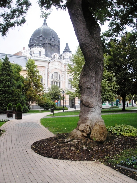 Hagyományaink dicsérete