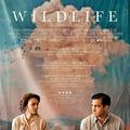 Újra itt, egy filmbemutató: Wildlife (2018)