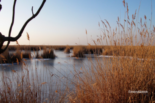 Titokzatosságok a Fertő-tó életéből