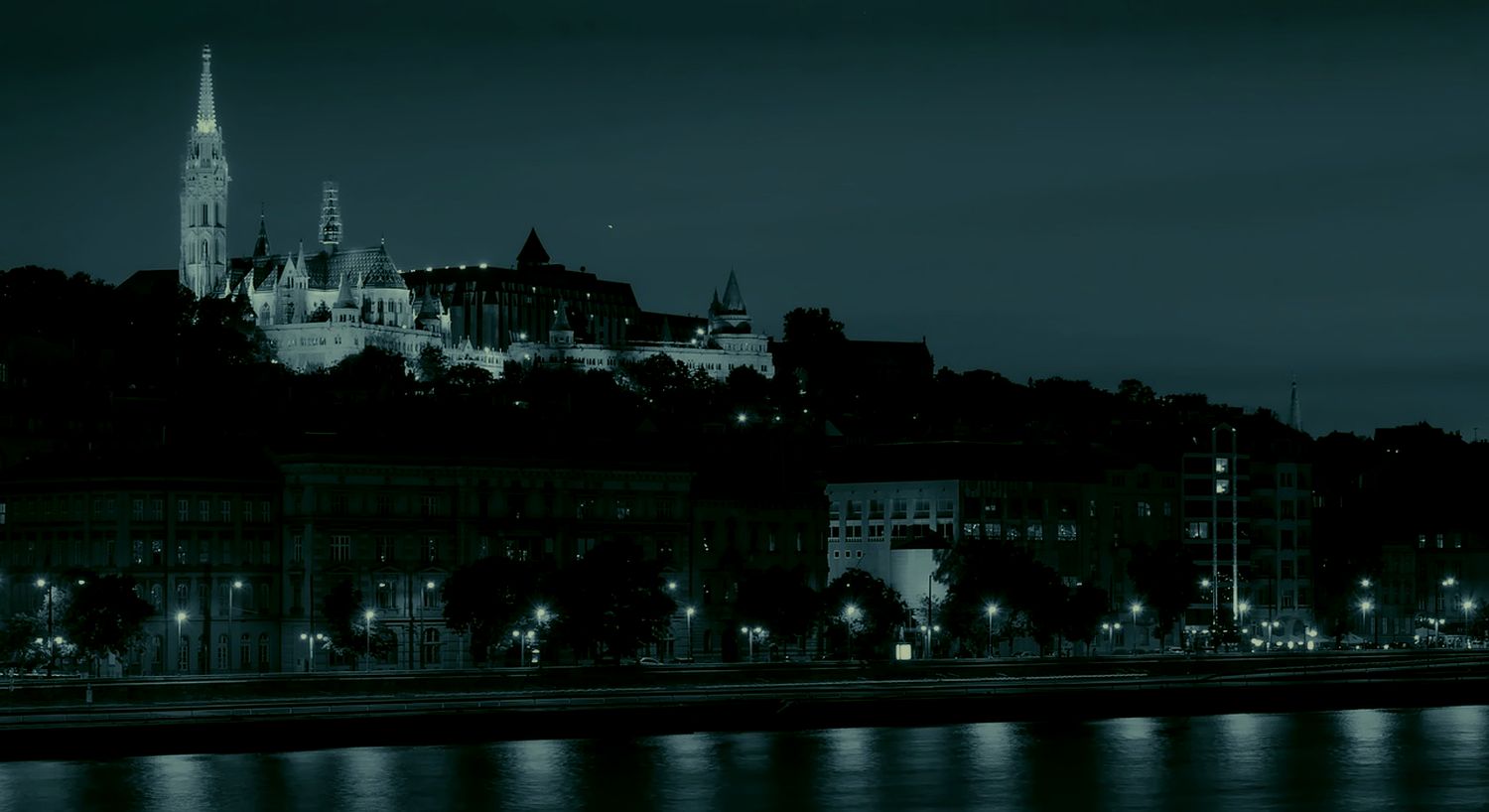budapest-ejjel_night_castle_elojog_mira_sabo_privilege.jpg