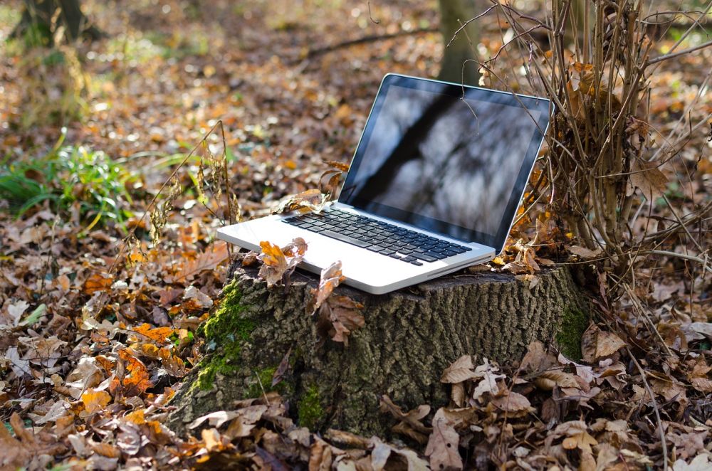 laptop-forest_web_elmenyvadasz.jpg