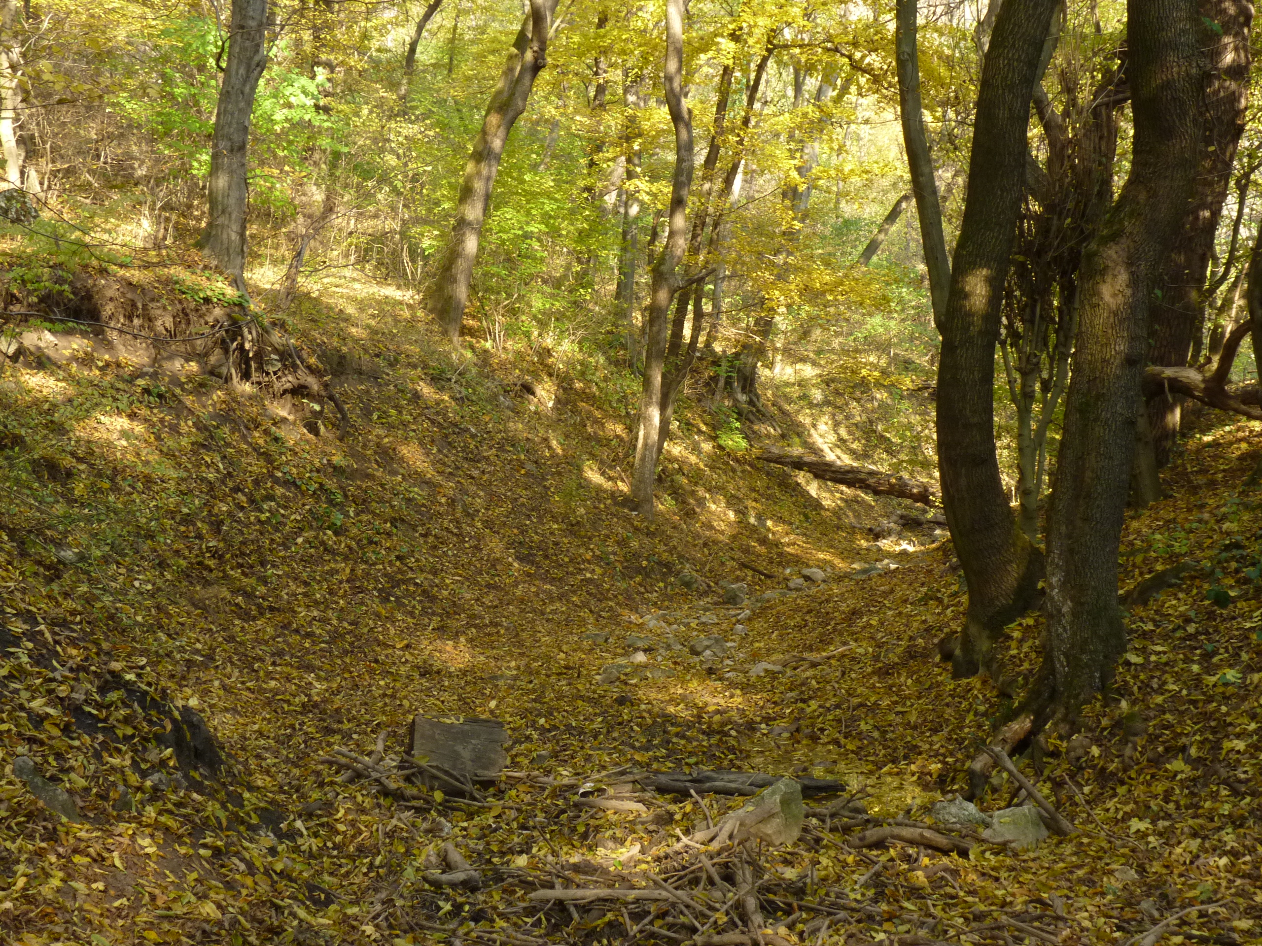 ordog-arok_stream_in_remete_valley.jpg