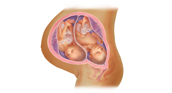 twins-36-weeks_wide.png