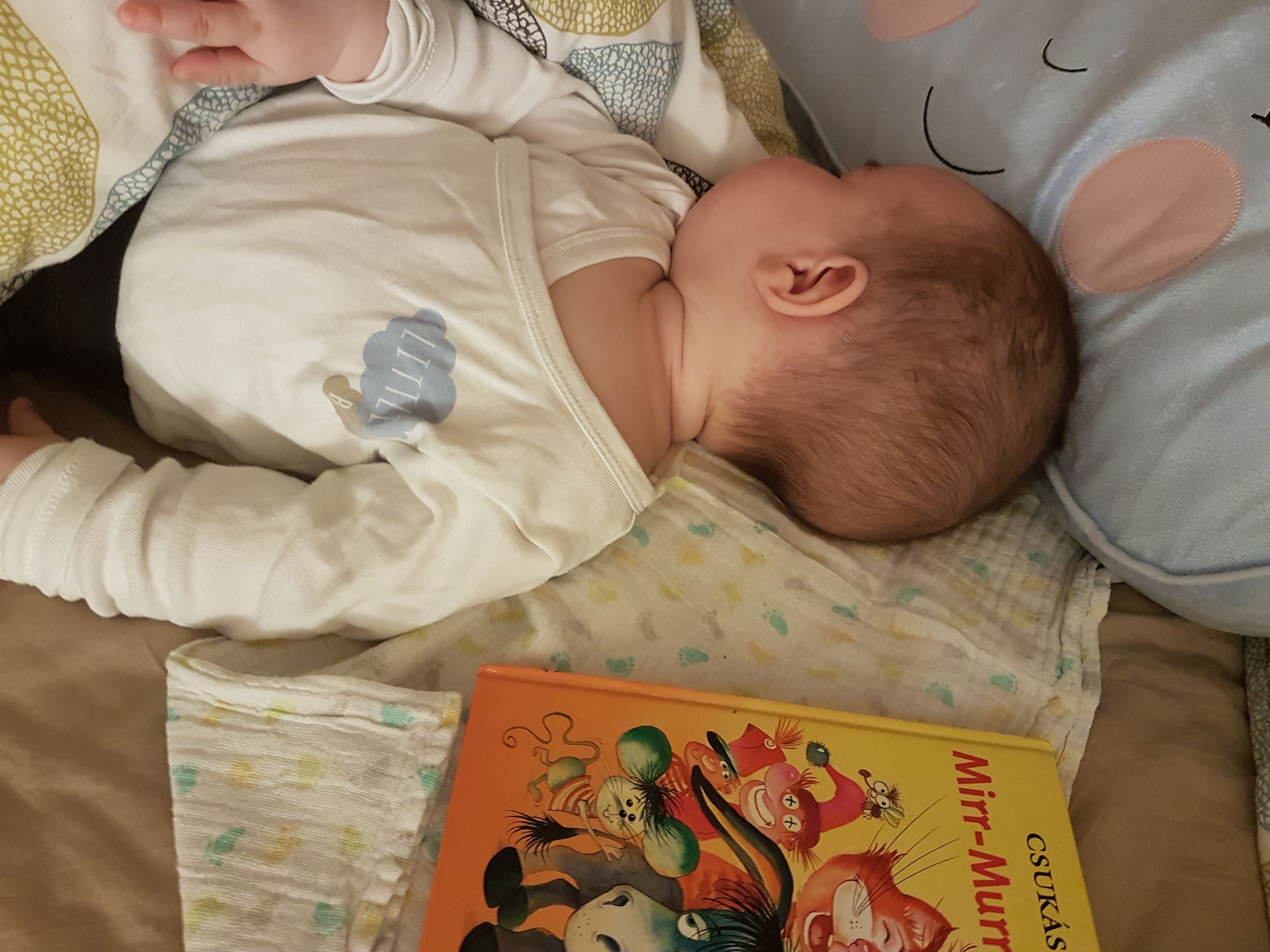 20180314_193954_1.jpg