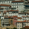 A Coimbrai Egyetem 2012. november 30-i határidővel keres két gyakornokot