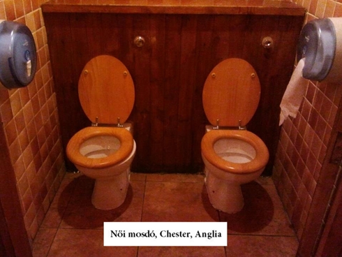 WC CHESTER, ANGLIA.jpg