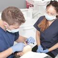 Who is a good dentist in Budapest and in Sopron?