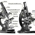 Fénymikroszkóp és használata