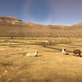 San Pedro de Atacama - Uyuni tura 2-3. nap - 2018.06.06-7 (Bolivia)