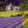 Provence - Vigyázz, jövünk!