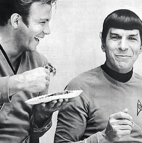 shatner_nimoy.jpg