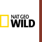 natgeowild.jpg