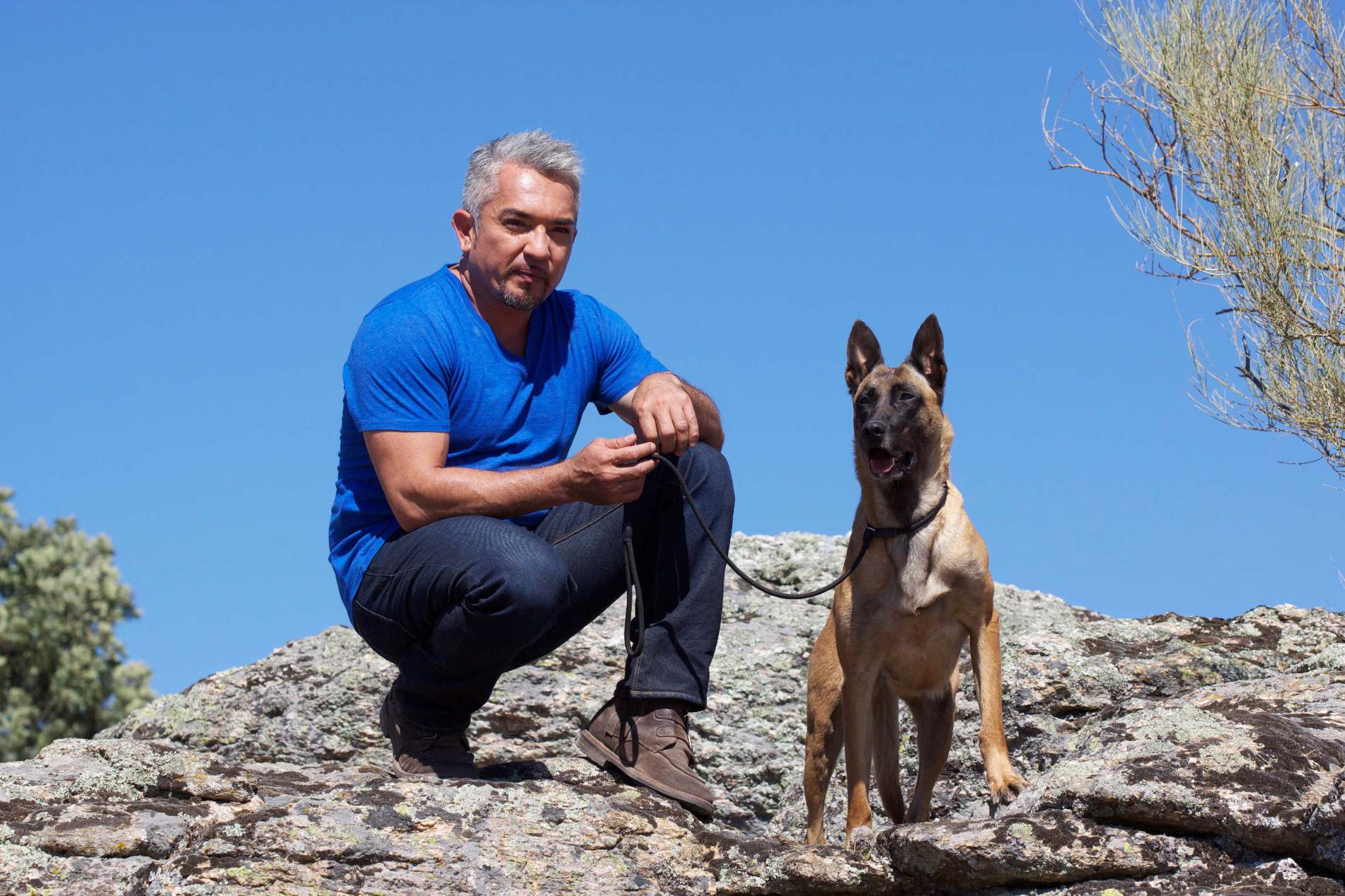 cesar_millan.jpg