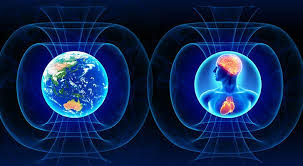 Az Élet és az egyetemes áramlás....