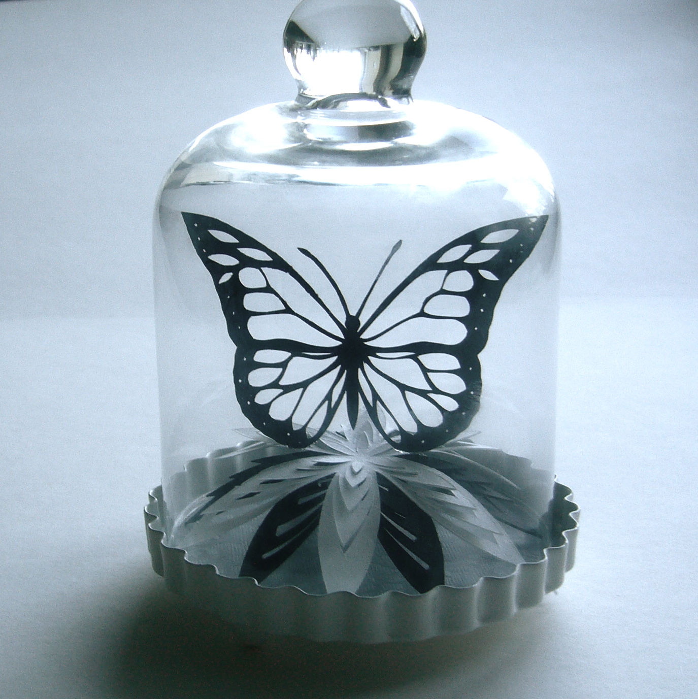 butterfly-flower-in-bell-jar.jpg