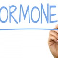 Mit okoz a túl sok inzulin a női nemi hormonok szintjében?