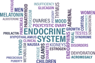 Tudjon meg mindent az endokrin rendszer zavarairól