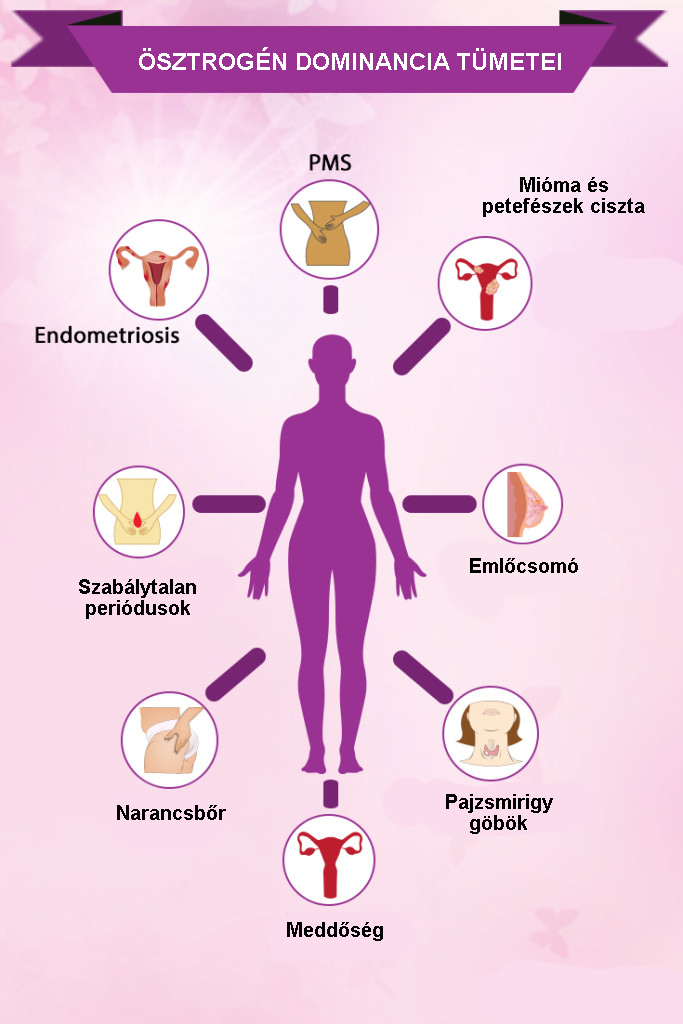 Ösztrogéndominancia szerepe az endometriózisban