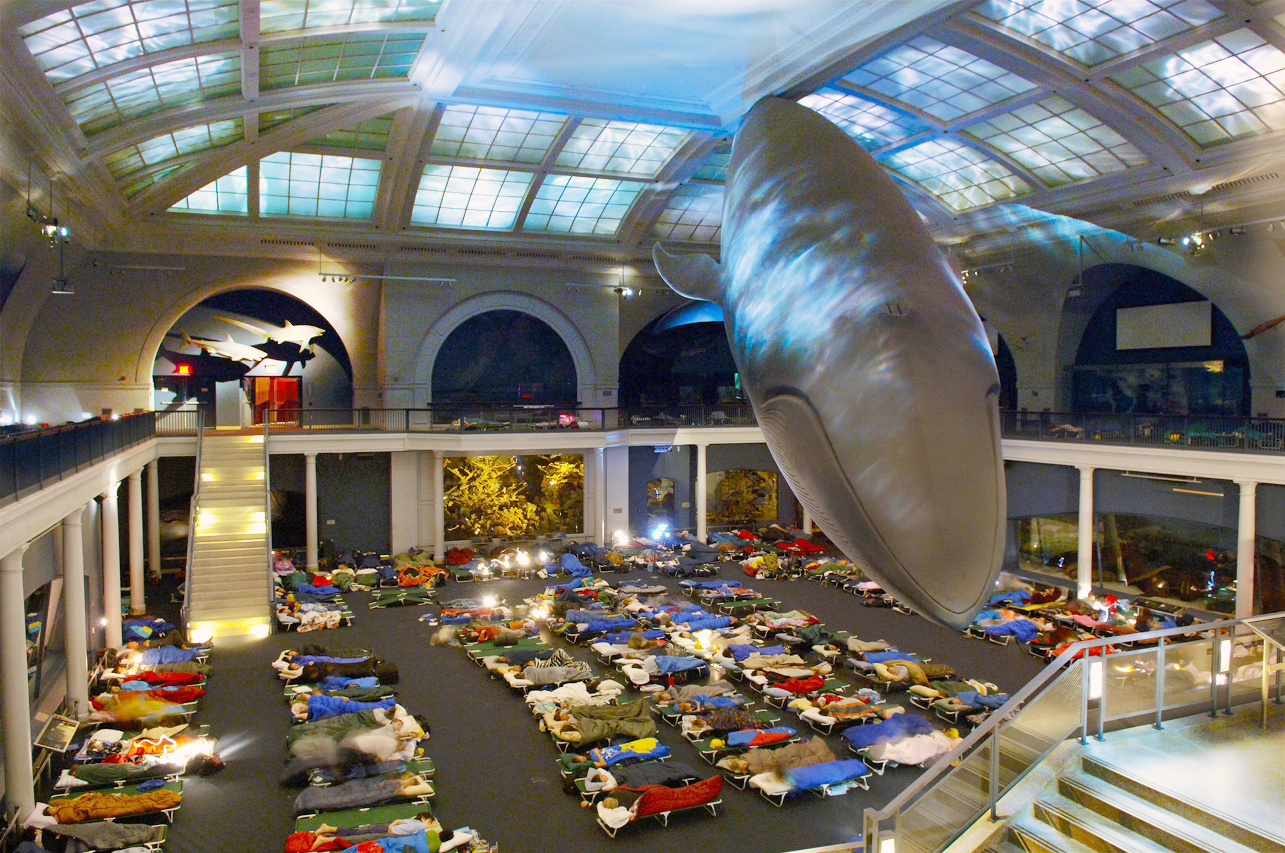 nightmuseum_040315.jpg