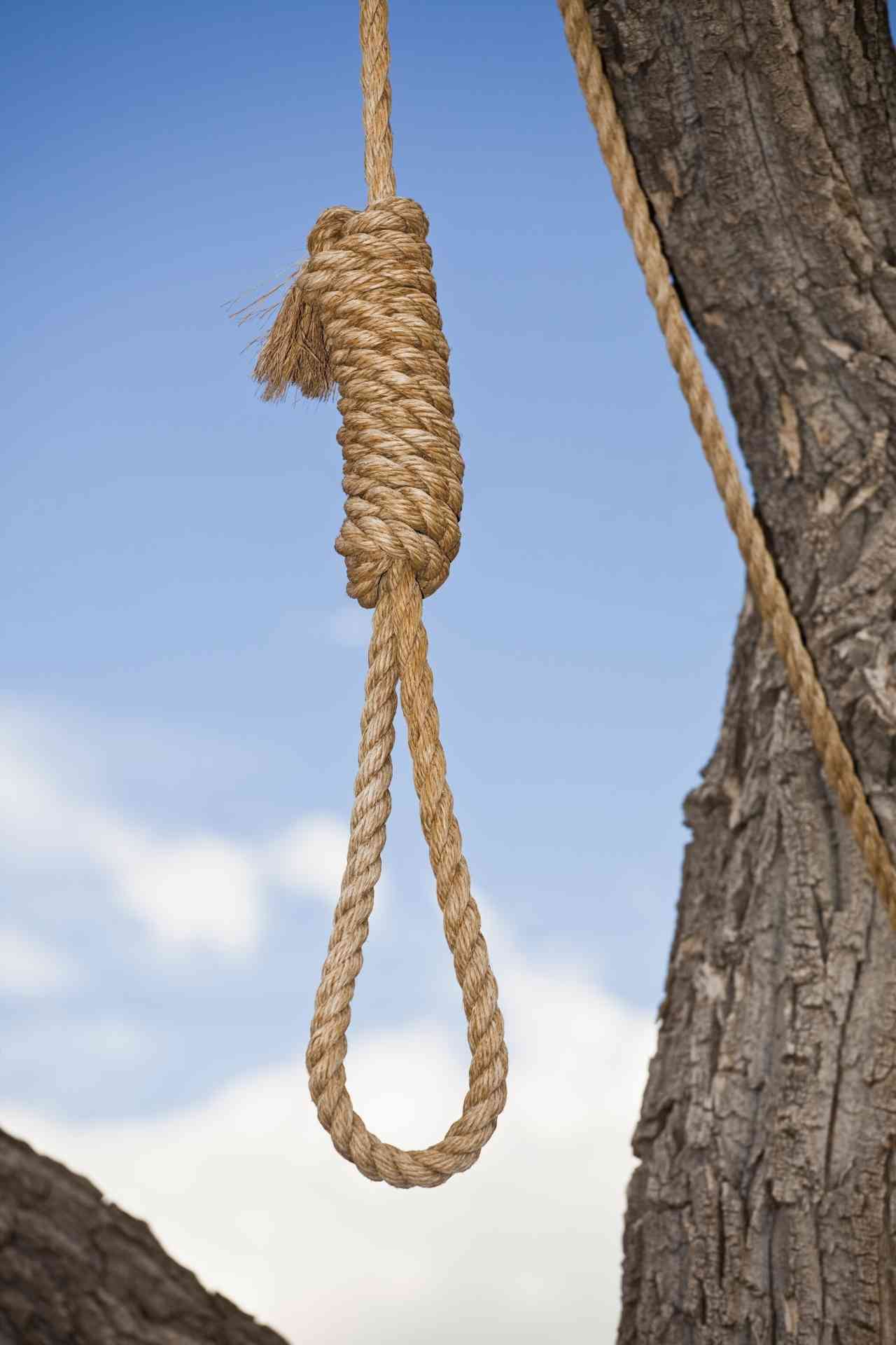 hangman-s-noose-in-a-tree-2022-03-04-02-22-59-utc_s.jpg