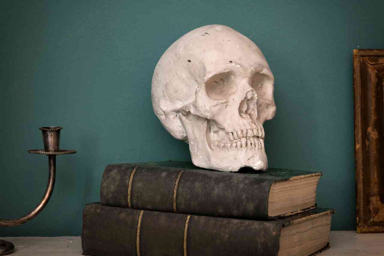 replica-of-a-human-skull-on-vintage-books-2021-08-29-03-29-38-utc_s.jpg
