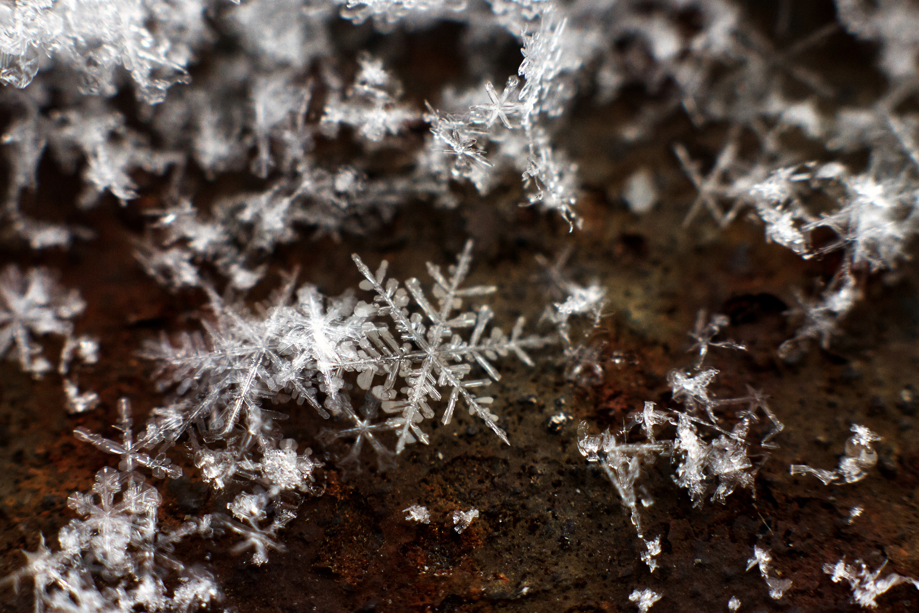 snow-flake-macro-closeup-on-old-windowsill-2021-08-29-12-19-41-utc.JPG