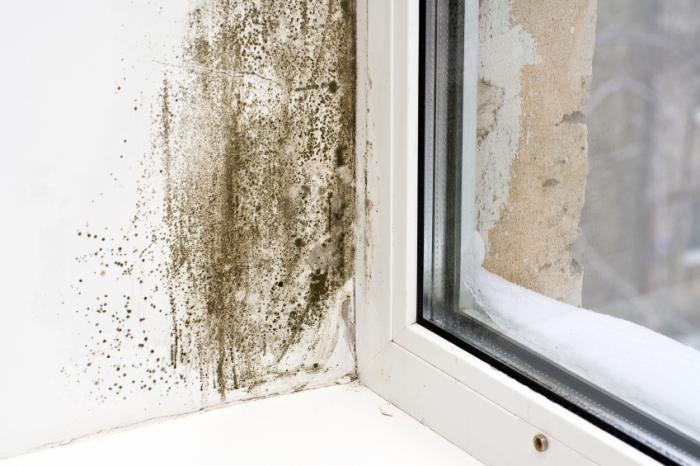 large-patch-of-black-mold-next-to-window.jpg