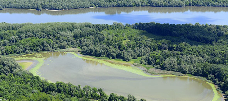 duna-drava-nemzeti-park.jpg