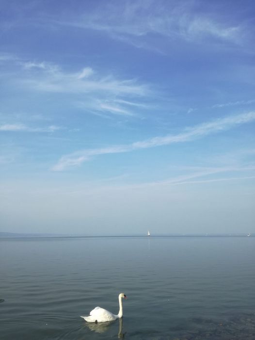 balaton_2.jpg