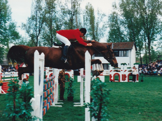 Képes krónika - Varró József (1990-től napjainkig)