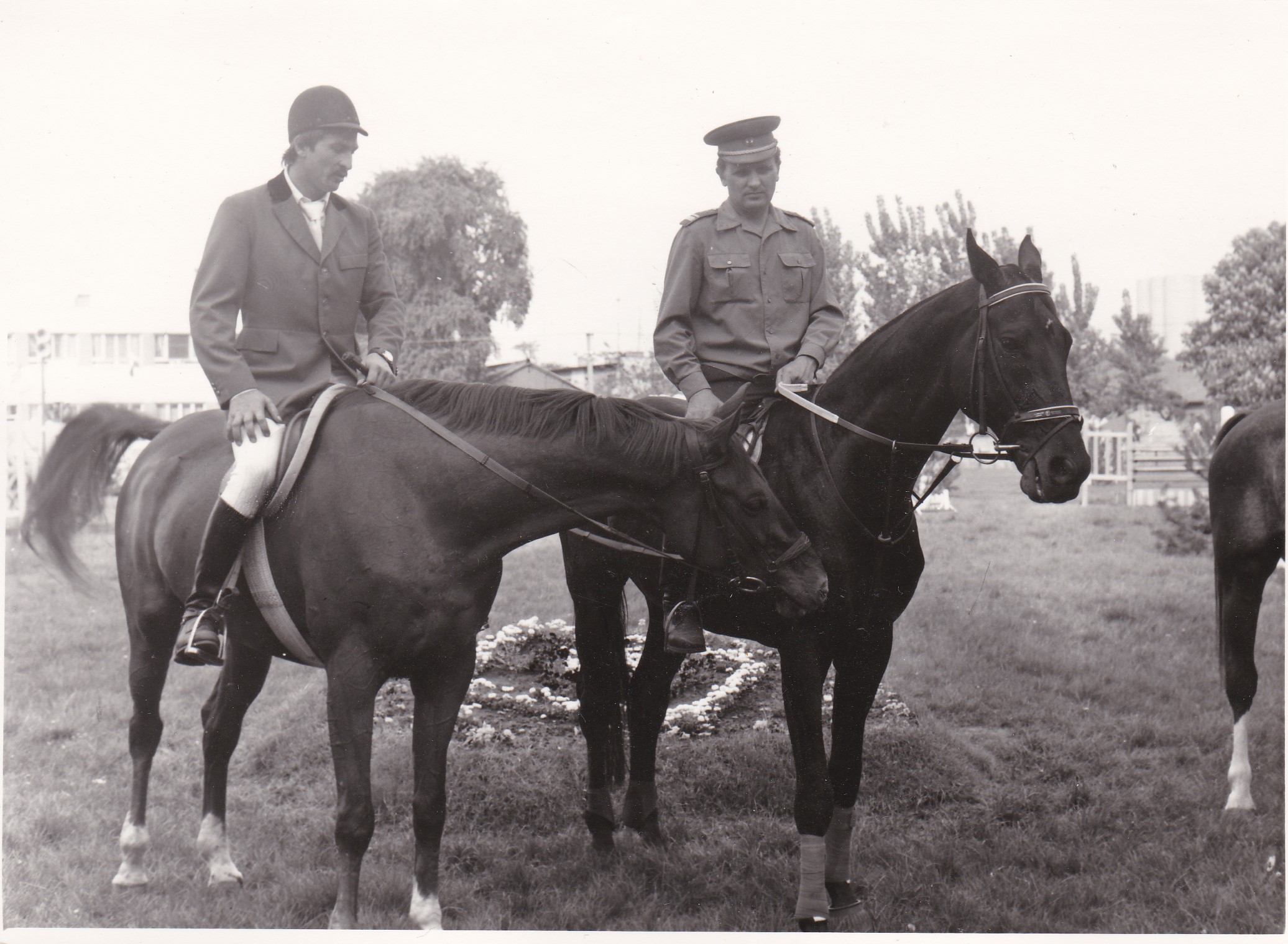 toplovasok_1980-.jpg