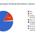 Hogyan használjuk a Czakó utcai sportpályát?