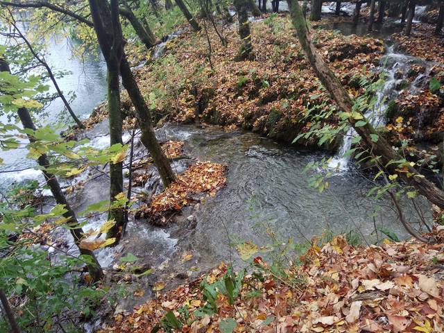 Fotócsütörtök - Őszínes kavalkád a Plitvicei-tavaknál