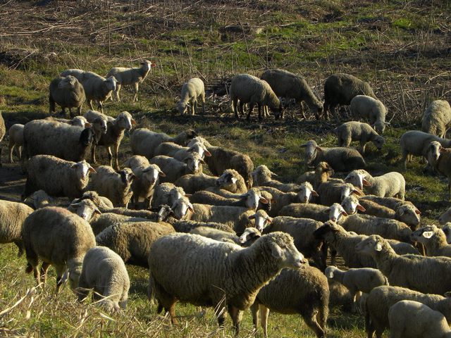 Fotócsütörtök - Napi mosoly