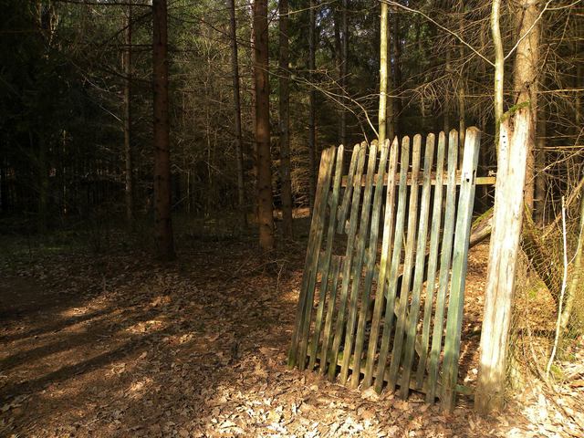 Fotócsütörtök - Bükki barangolás közben