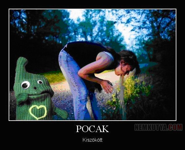 pocak.jpg