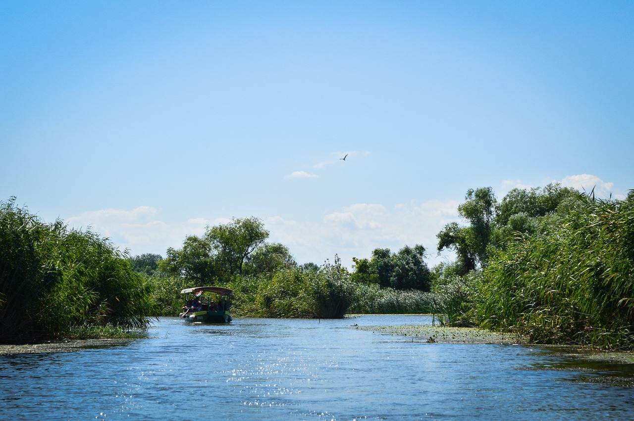 tisza-lake-g306f56fe2_1280.jpg