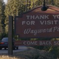 Működő klisék és elnyújtott ötletek - Wayward Pines VS Sense8