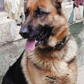 Kecvencem
