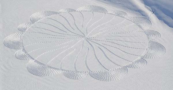 snow-art9.jpg