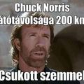 Chuck Norris nem olvas blog bejegyzéseket...