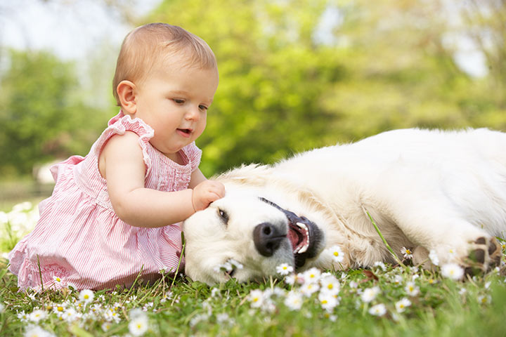 dog-and-baby.jpg