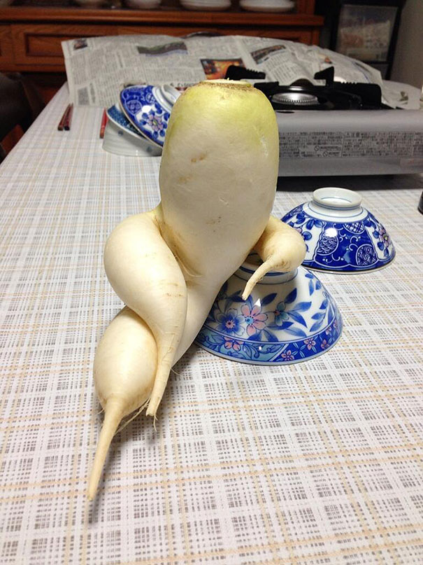funny-shaped-vegetables-fruits-1.jpg