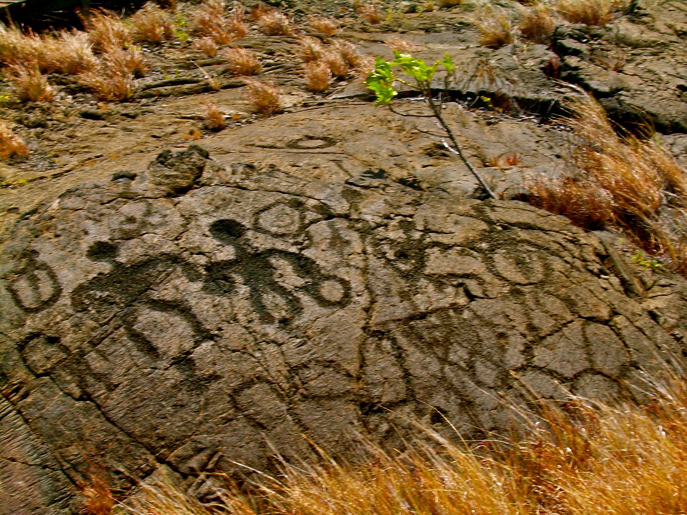 about-23000-petroglyphs-in-the-area.jpg