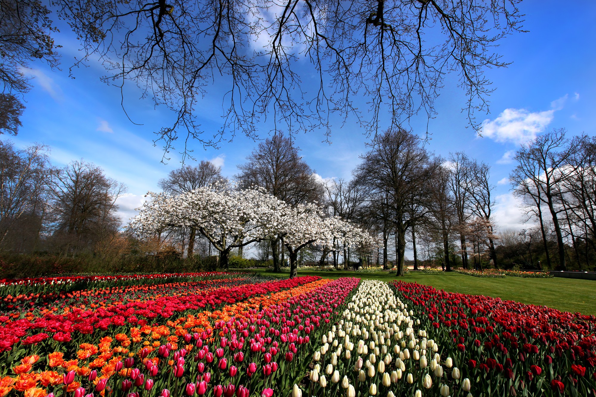 keukenhof-gardens-in-de-namiddag.jpg